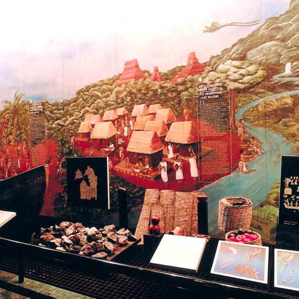 Visitar el Museo de la Cultura Maya – GRAND COSTA MAYA, MUSEOS